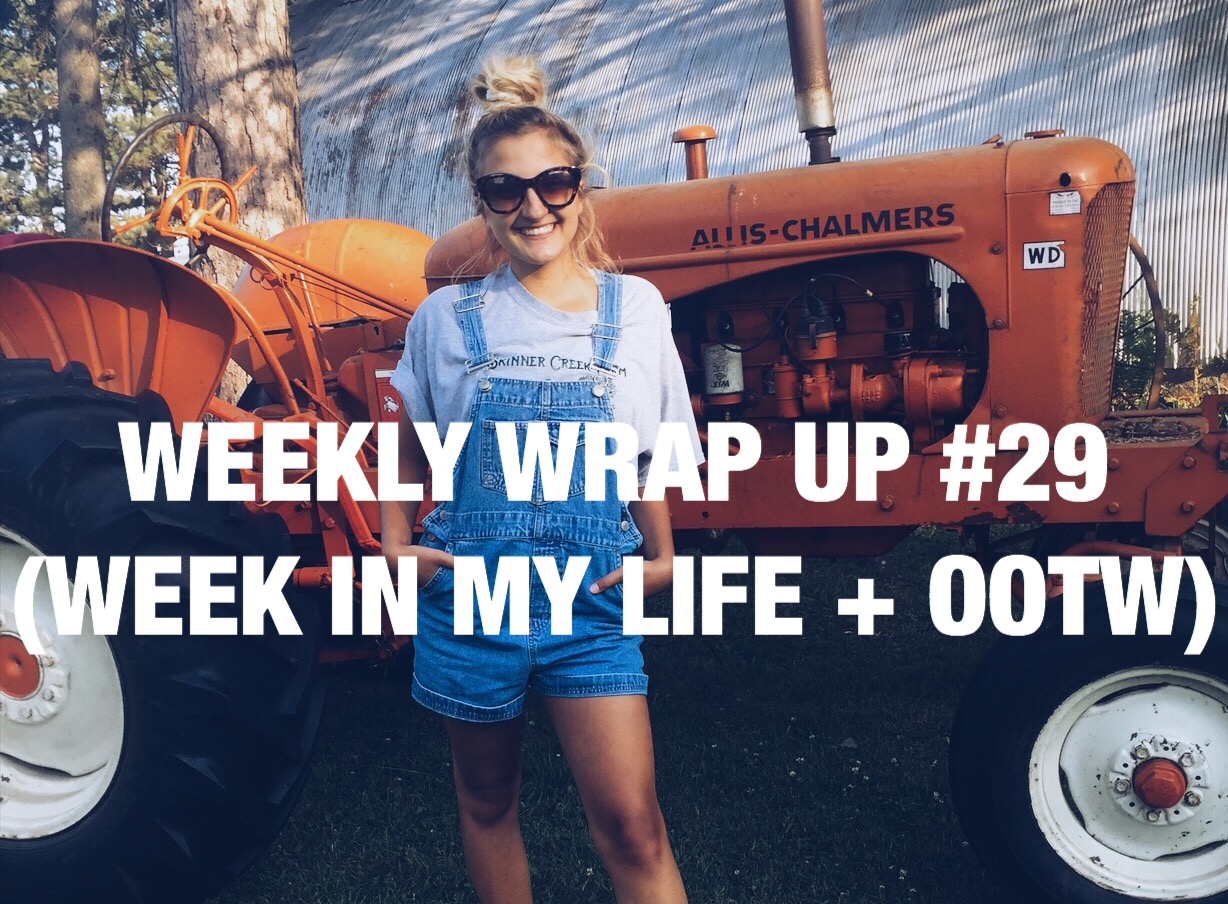 Weekly Wrap Up #29