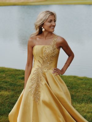 Terani Evening Gown