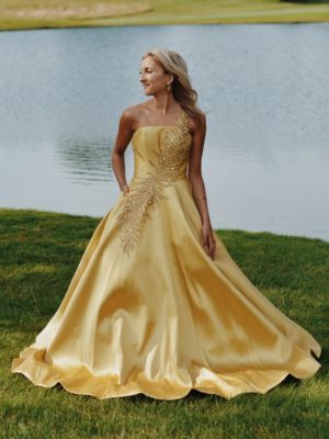 Terani Evening Gown