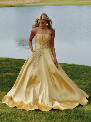 Terani Evening Gown