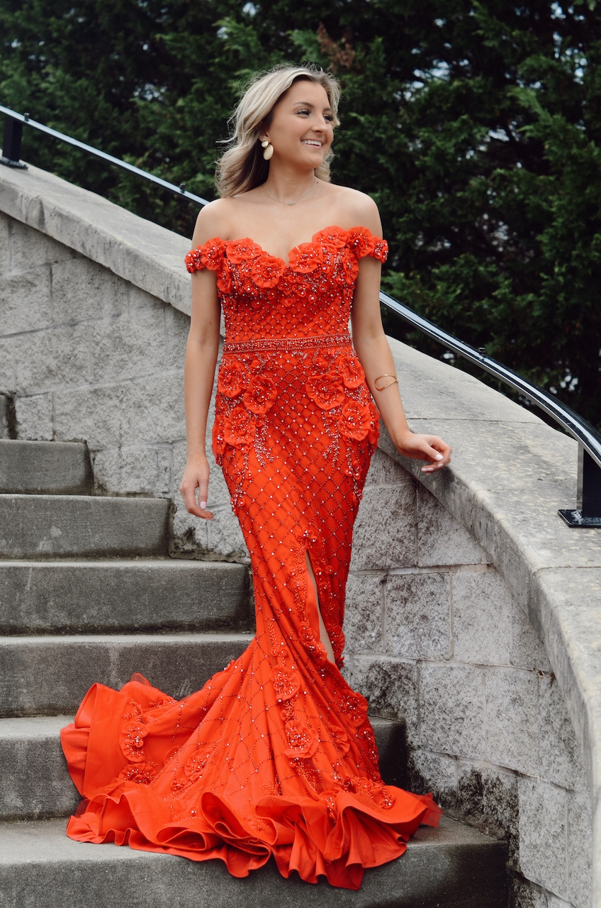 Prom 2020 Season With Terani Couture