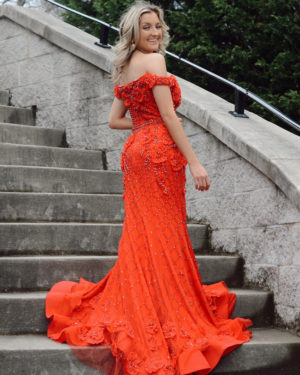 Prom 2020 Season With Terani Couture