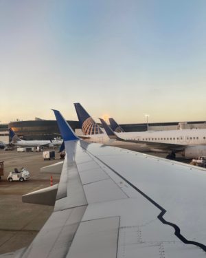 Weekly Wrap Up #8 2022