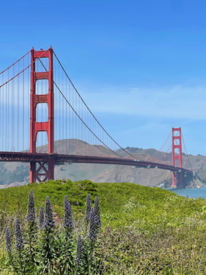 San Francisco Travel Guide Spring 2022