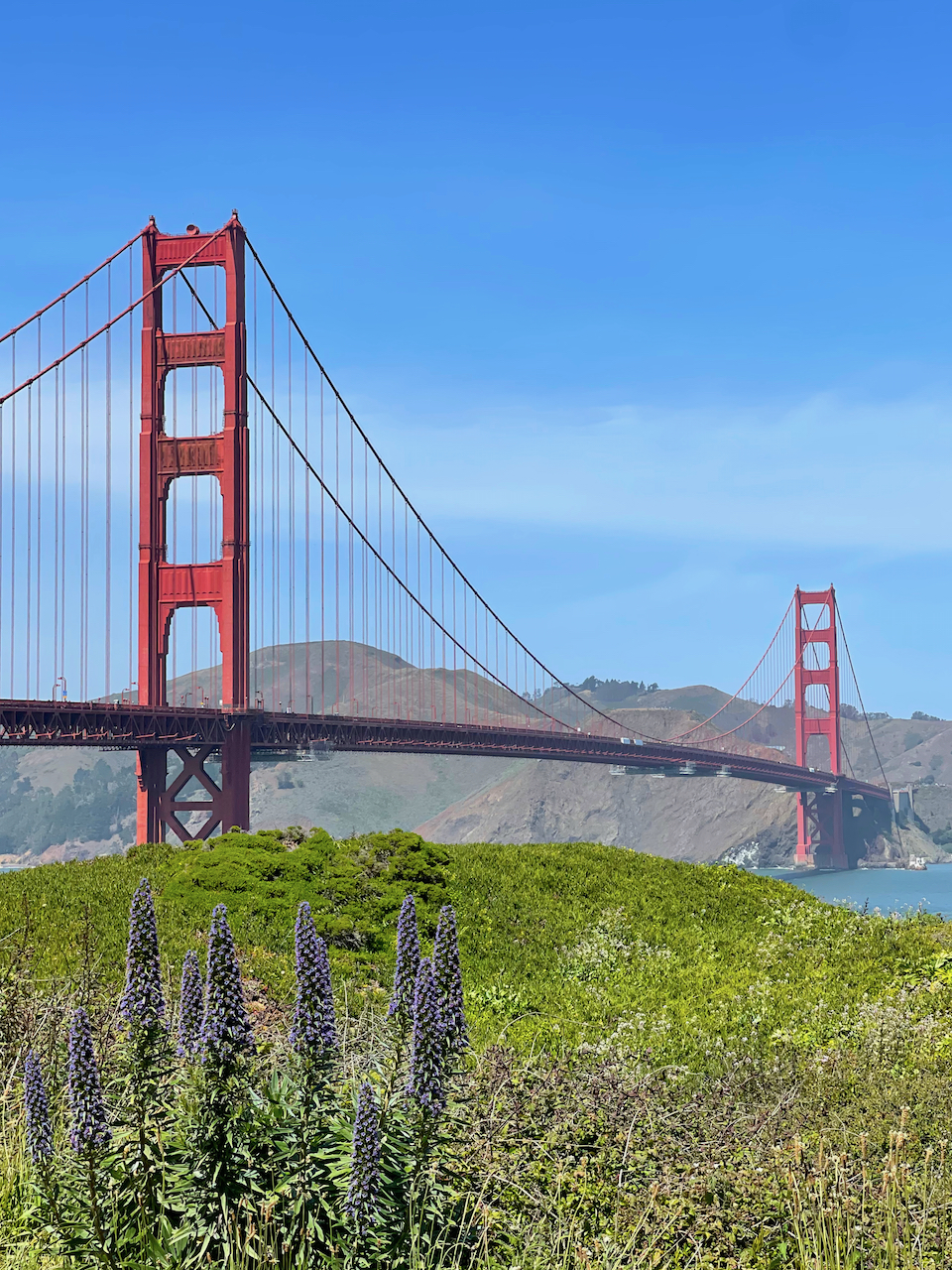 San Francisco Travel Guide Spring 2022