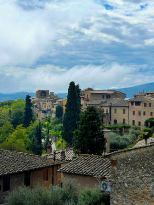 The Best Tuscan Wine Tour For Study Abroad Students