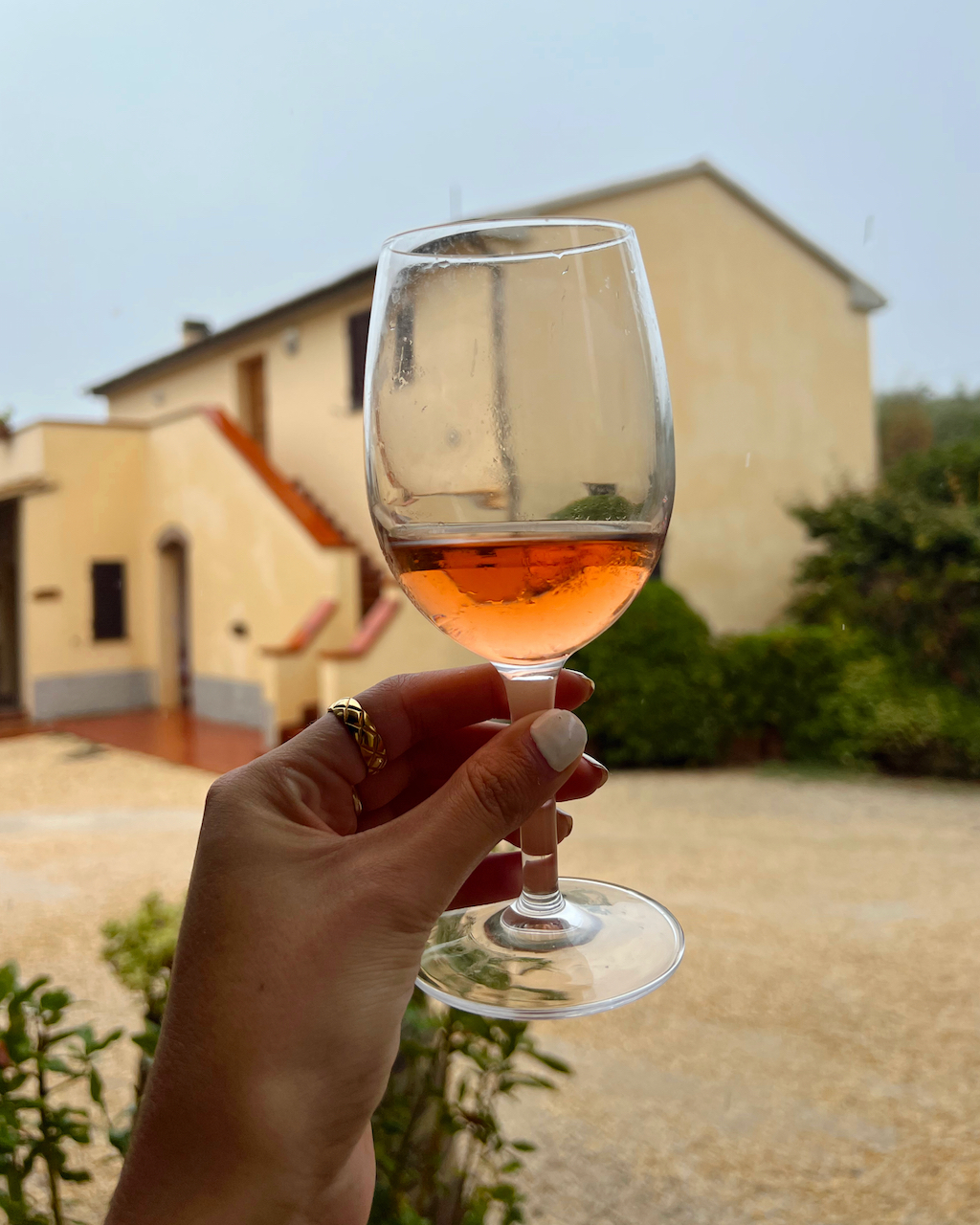 The Best Tuscan Wine Tour For Study Abroad Students