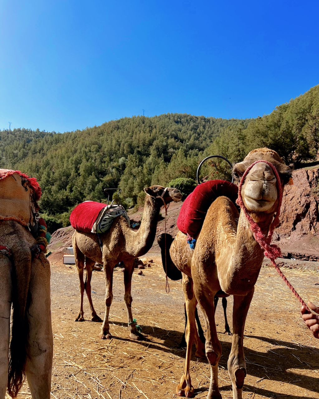 Morocco, Africa Travel Guide Fall 2022