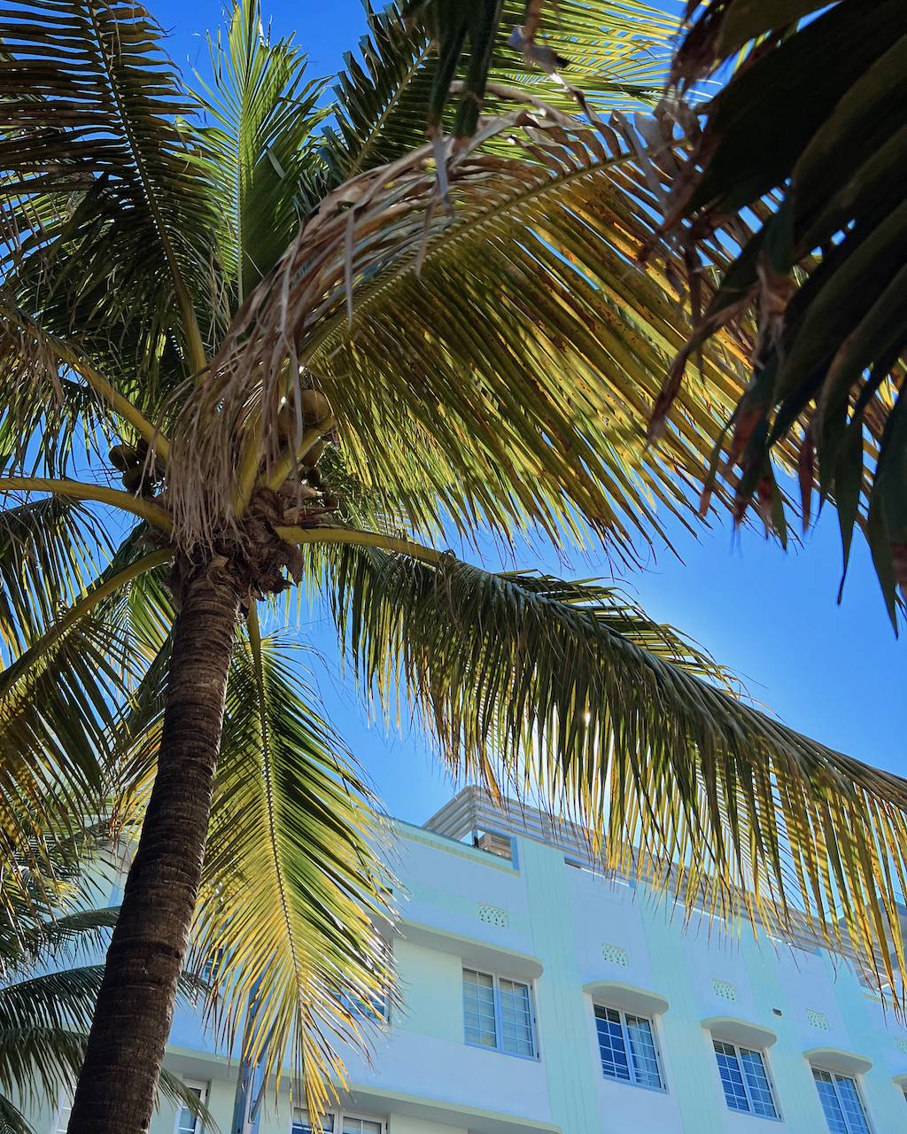 Miami Travel Guide || Spring Break 2023