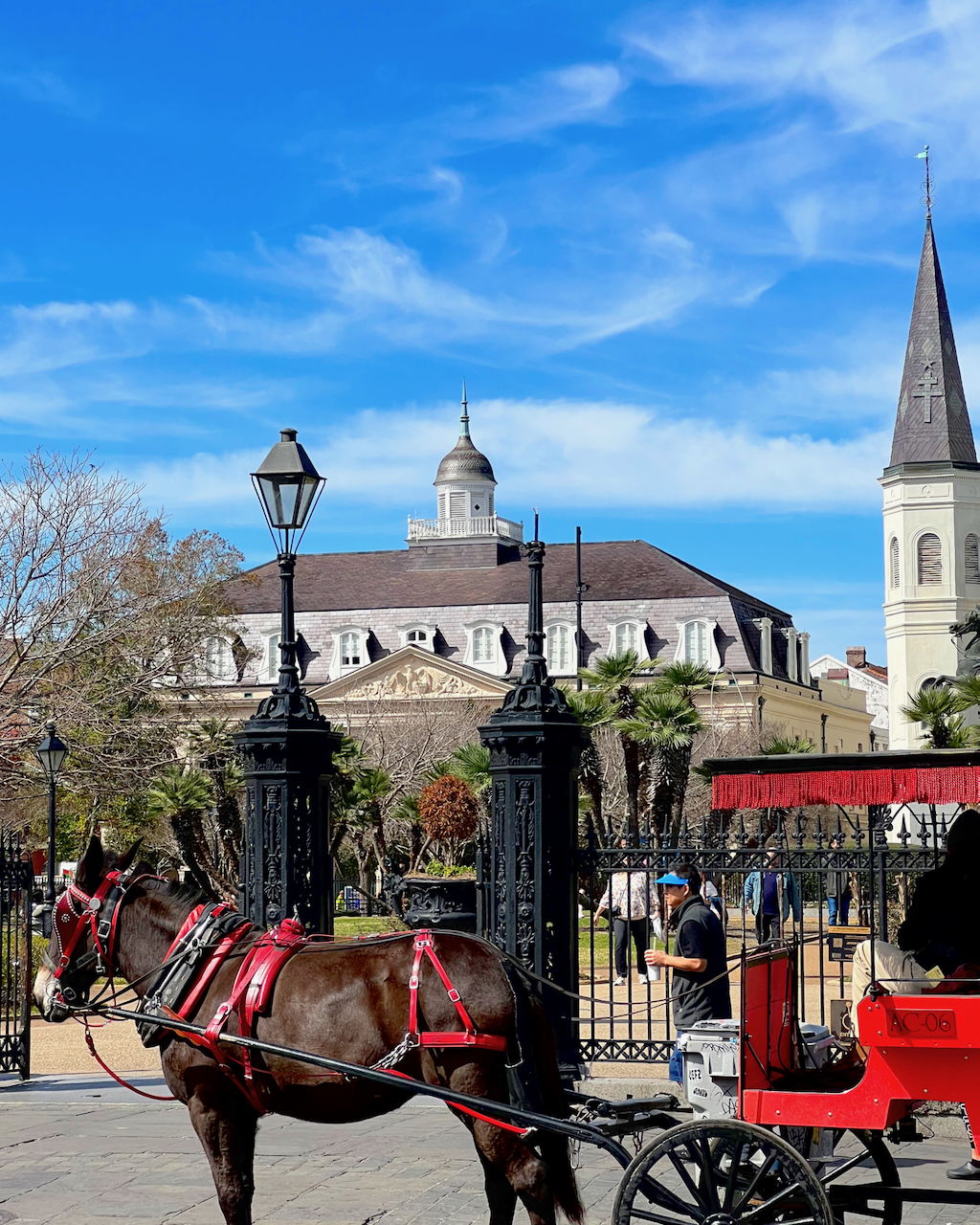 The ultimate New Orleans, Louisiana Travel Guide Spring 2024